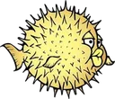 openbsd