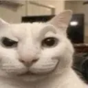smug