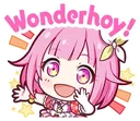 Wonderhoy