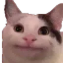 CatBeluga