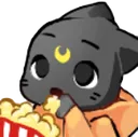 orange_cat_eat_popcorn