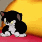 orange_cat_angry