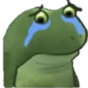 2frogcryy
