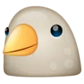 bc_bird bc_bird