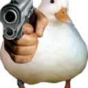 duckgun