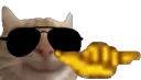 coolcatxd coolcatxd