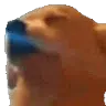 BearJam