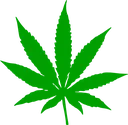 green_matinho_VDB