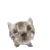 dumass