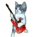 cat_moosic
