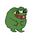 green_frog_funny_jump