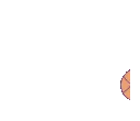 8926purinbasketball