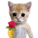 catRose