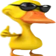 y_fds_VDB