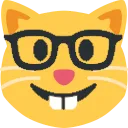 nerd_cat