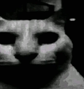 :darkcat2: