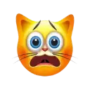 scaredycat