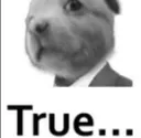 reallytrue
