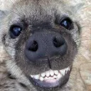 R_smile