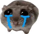 HamsterSob