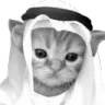 chad_cat