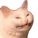 ech