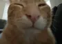 buh