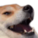 doggo_kekw