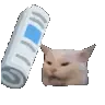 catbonk