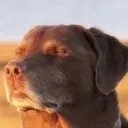 emoji_1 emoji_1