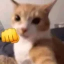 catpunch
