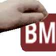 BMrub