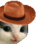 MEOWDY2x