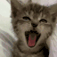 yawn2x