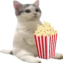 catsittingverycomfortablecinema4