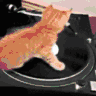 kittyJAM3x