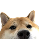 dog_peek_lurk Discord emoji