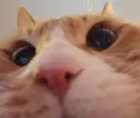 FL_anim_Jopa