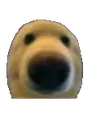 dwag