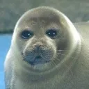 sad_guy