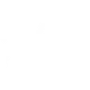 PLATONICALLY