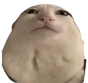 Fatald