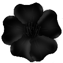 :flower_blonde: