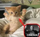 CINEMA