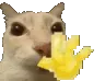 hiiii