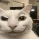 Freakycat Freakycat