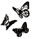 fg_butterflies