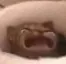 waaa