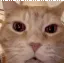 JAJAJAJA