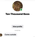 10kbees